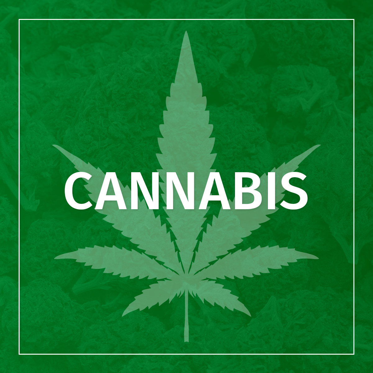 Cannabis graphic